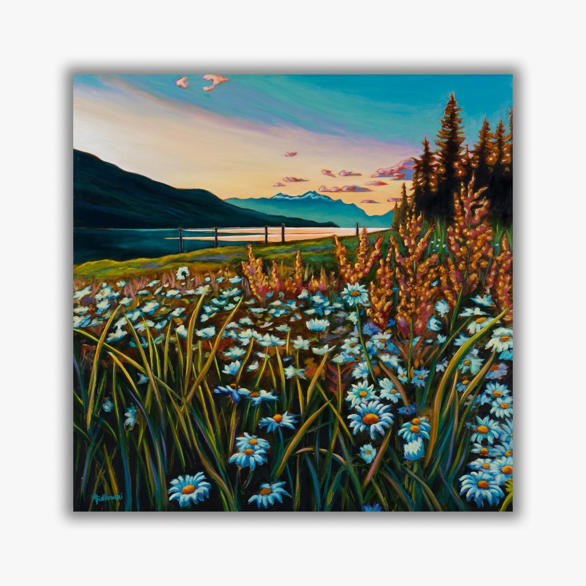"Daisies Before Stars" - Boxed Canvas