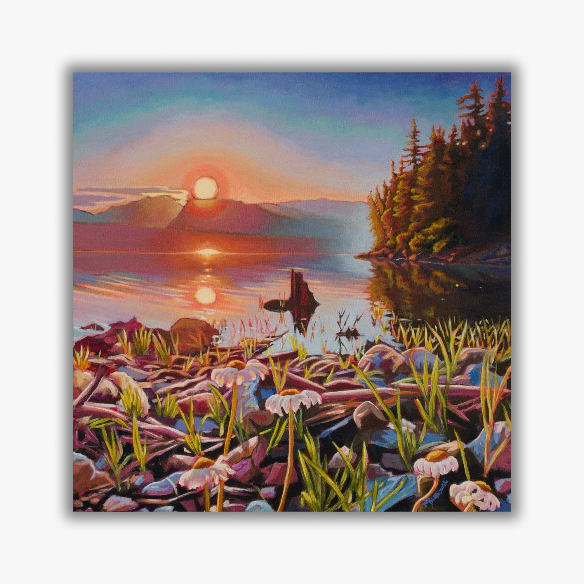 "Daisies on the Arrow" - Boxed Canvas