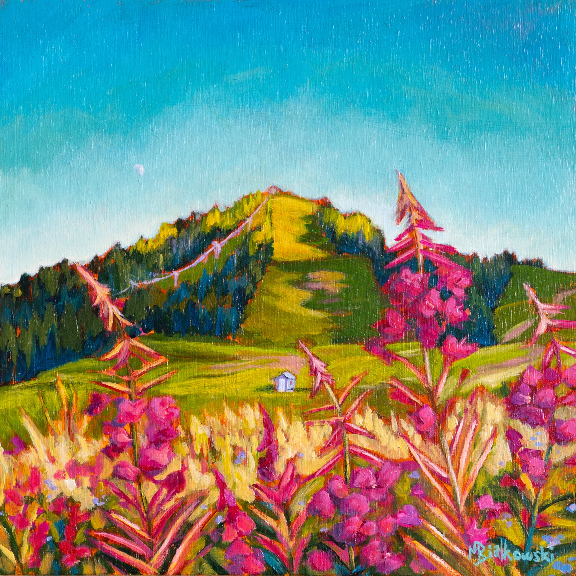 "High Summer Time" - Boxed Canvas