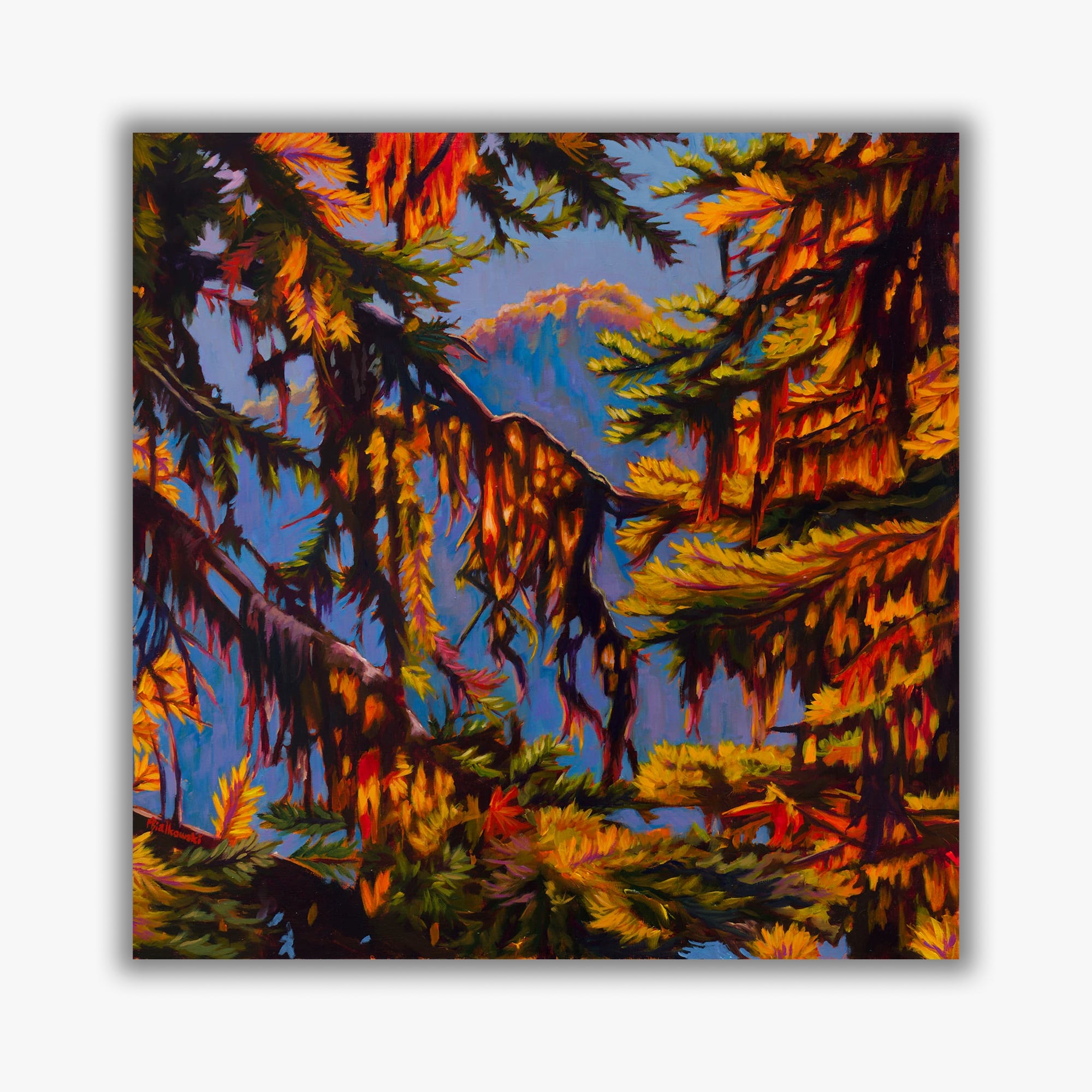 "Window to the Sky" - Boxed Canvas
