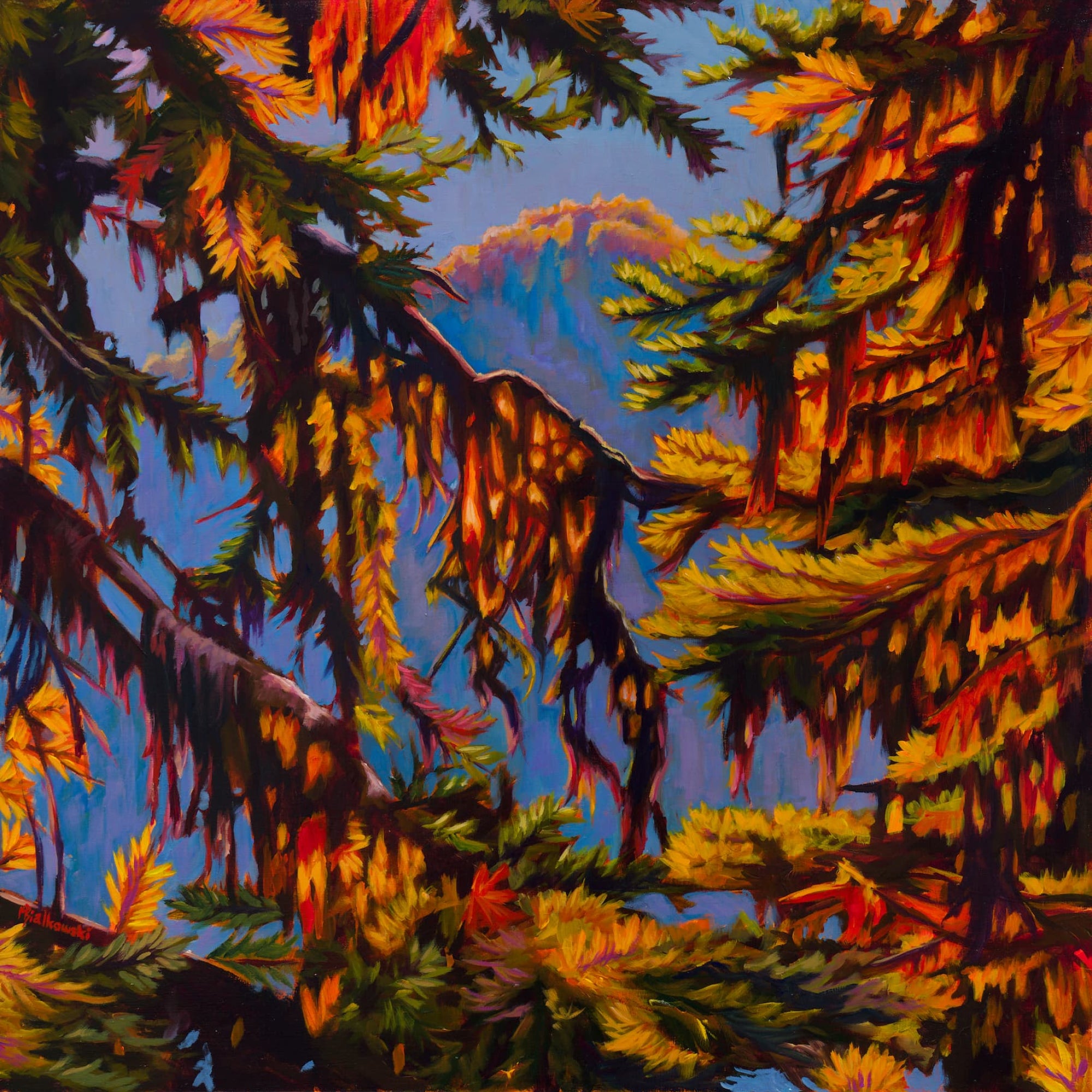 "Window to the Sky" - Boxed Canvas
