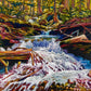 "Beautiful Chaos" - Original