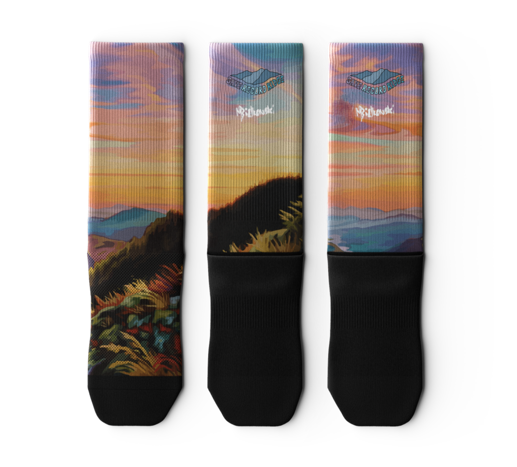 "Save Record Ridge" - Socks