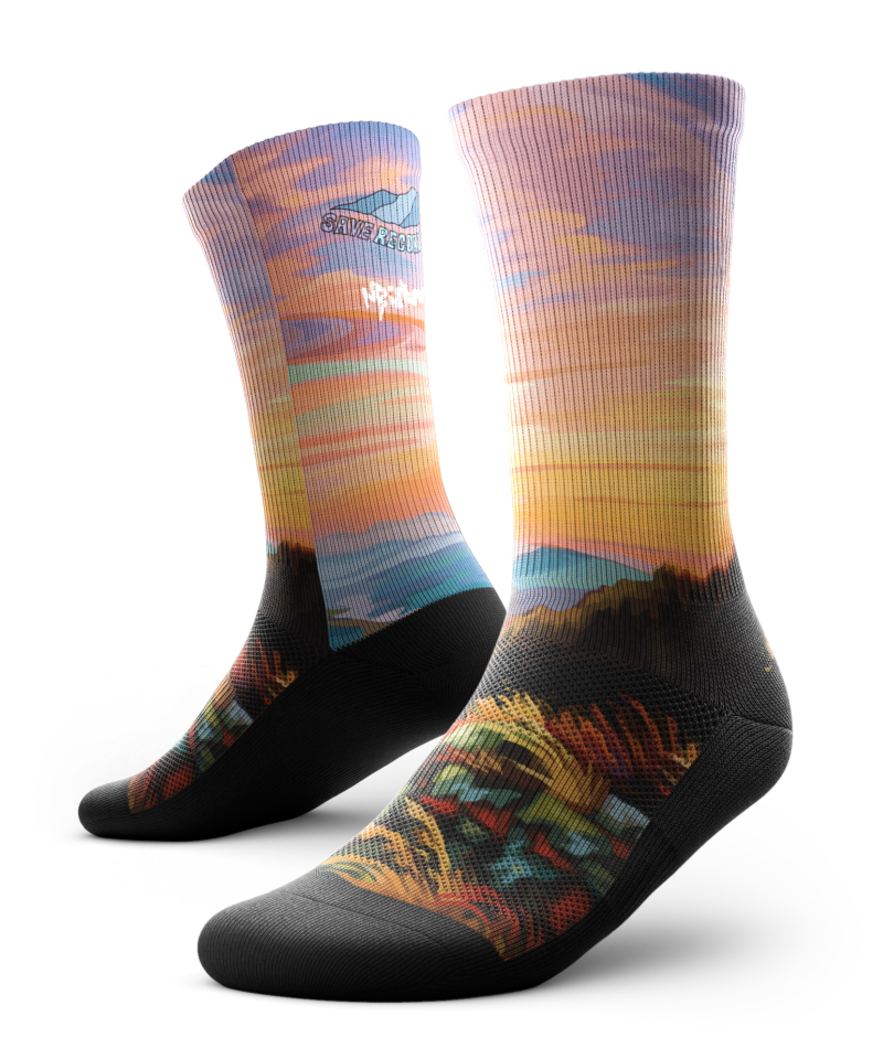 "Save Record Ridge" - Socks